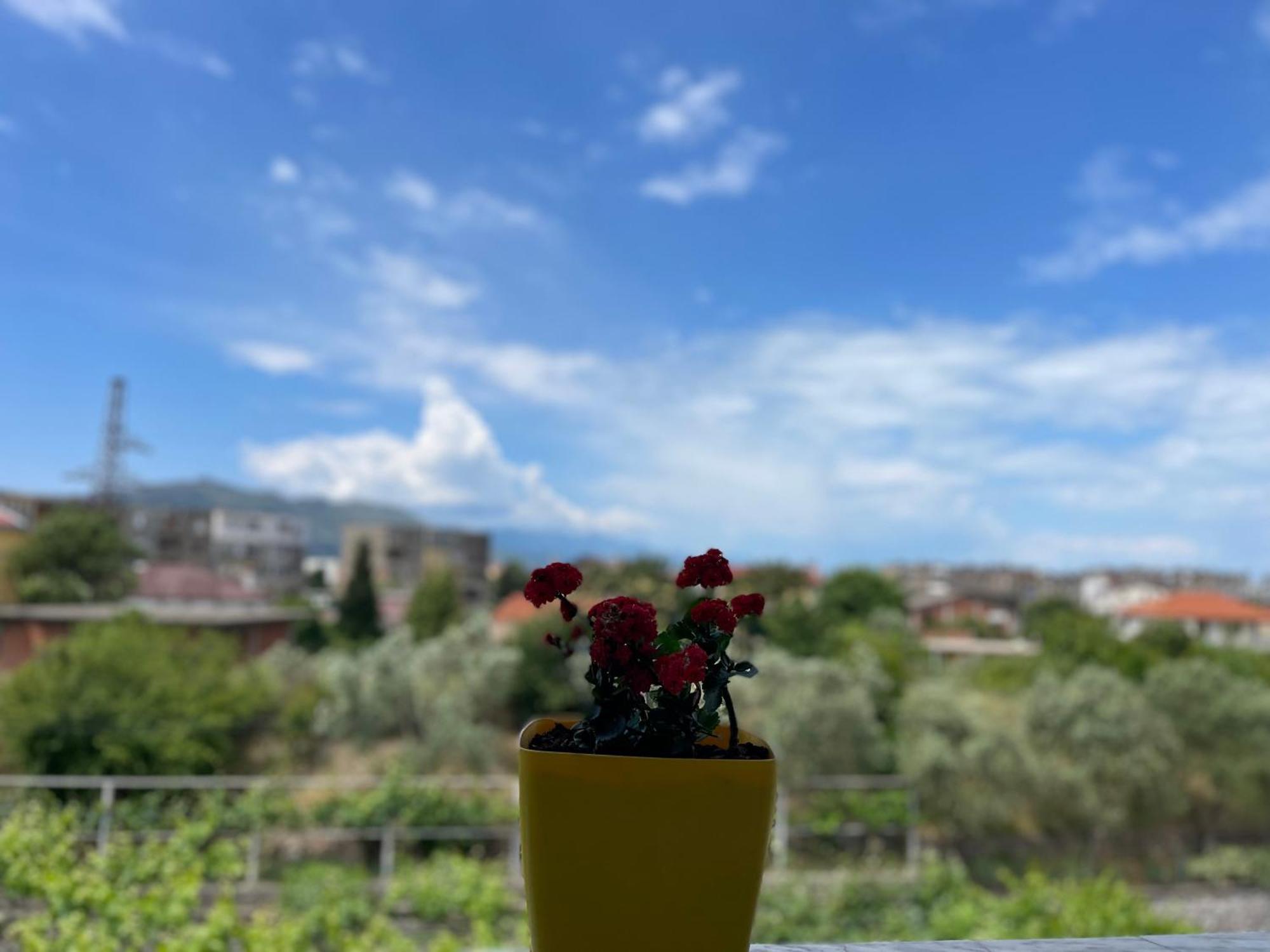 Prela'S Rooms Shkodër Dış mekan fotoğraf
